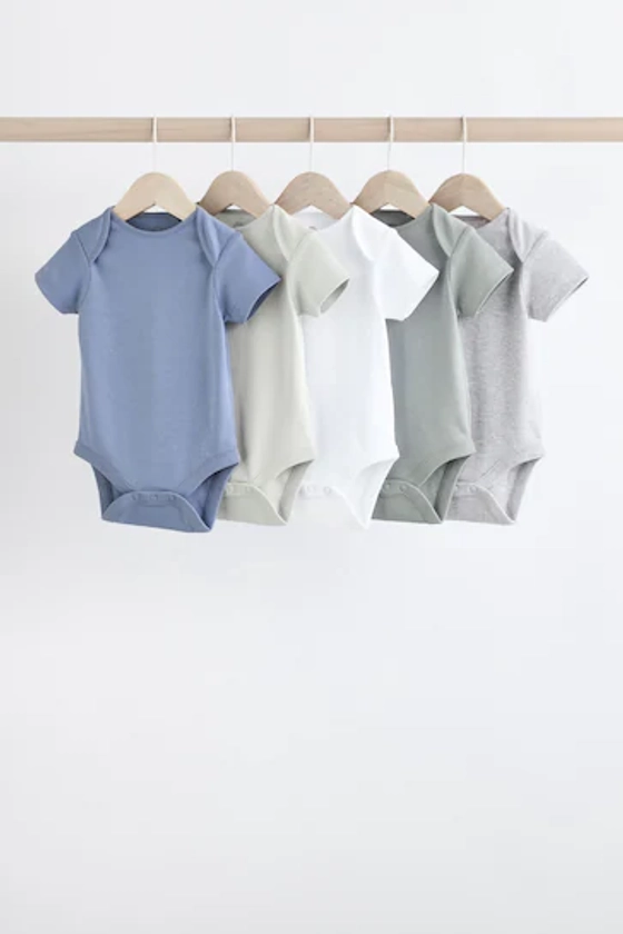 Buy Grey/White Short Sleeve Bodysuit 5 Pack from the Next UK online shop