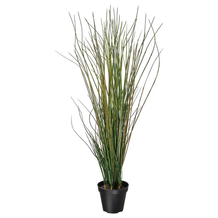 FEJKA artificial potted plant, grass, 6 ¾" - IKEA