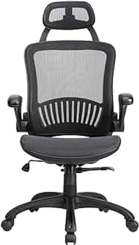 PayLessHere Ergonomic Office Chair Computer Chair High-Back with Rolling Swivel Desk Mesh Chair with Lumbar Support,Headrest,Flip-Up Arms and Adjustable Features (Black)