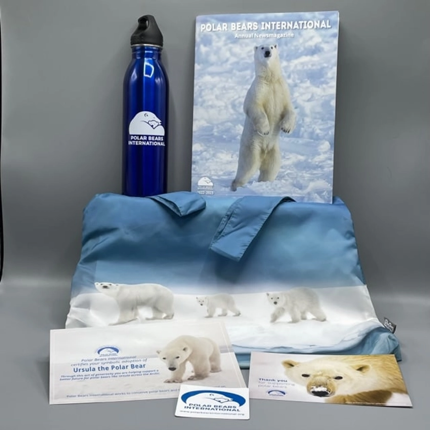 Save Our Sea Ice Symbolic Adoption Kit (U.S. and Canada Only) - PBI Shop