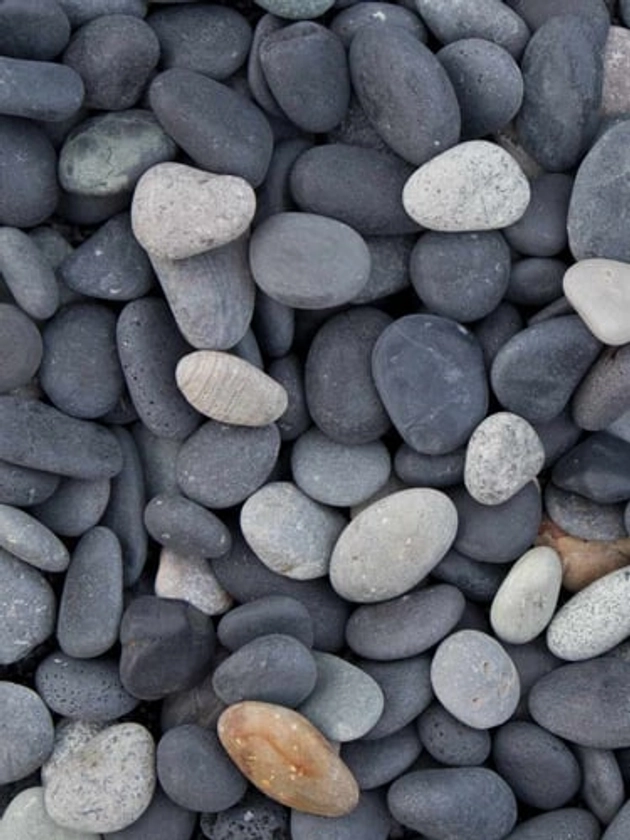 Beach Pebbles kopen | Gratis handmonster beschikbaar