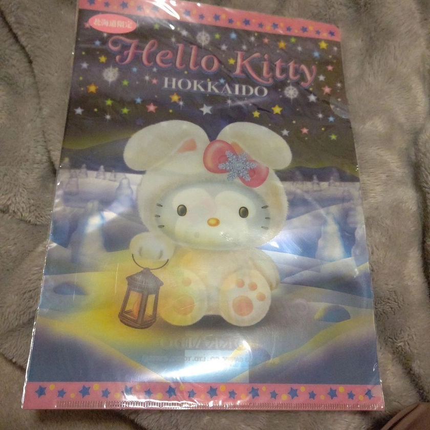 Hello Kitty 191 Hokkaido Limited Snow Rabbit A4 Clear File 2003 With Dents