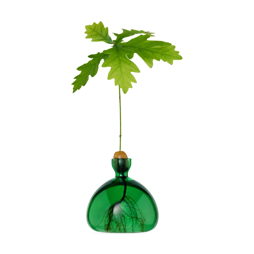 Acorn Vase - Emerald Green