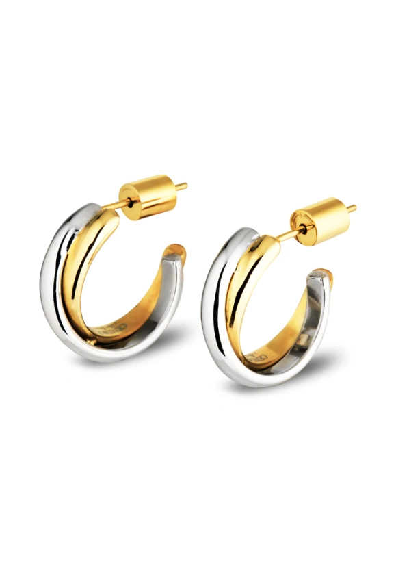 Laila Earrings | Two-Tone