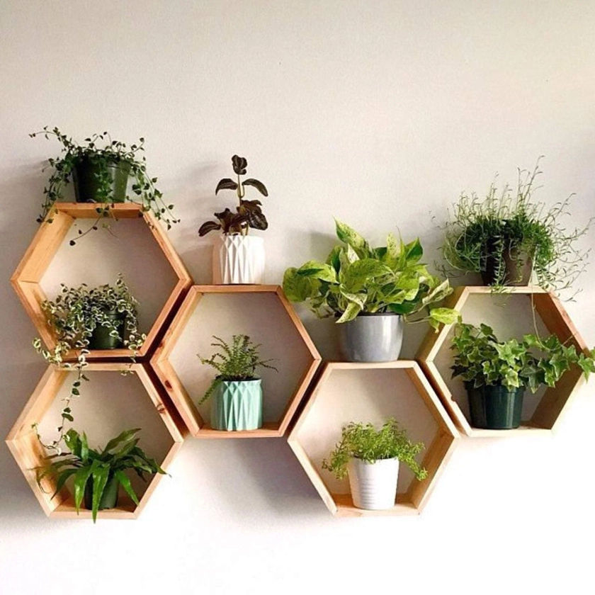 Wooden Honeycomb Hexagon Hex Floating Wall Shelves