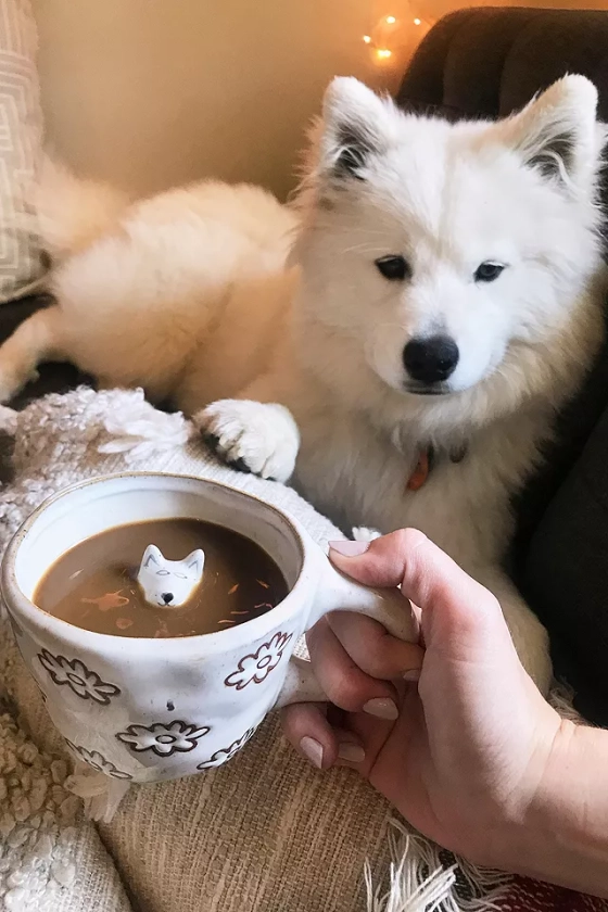 Peekaboo - Tasse chien