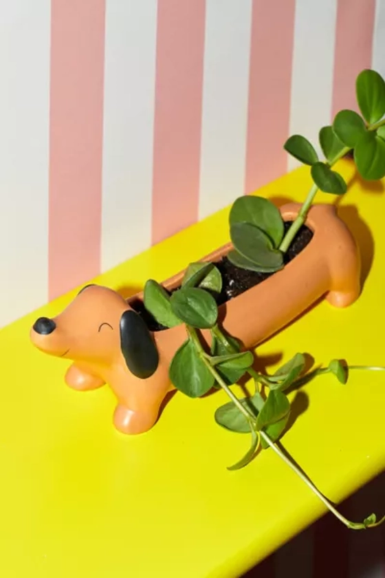 Daisy The Dachshund Planter