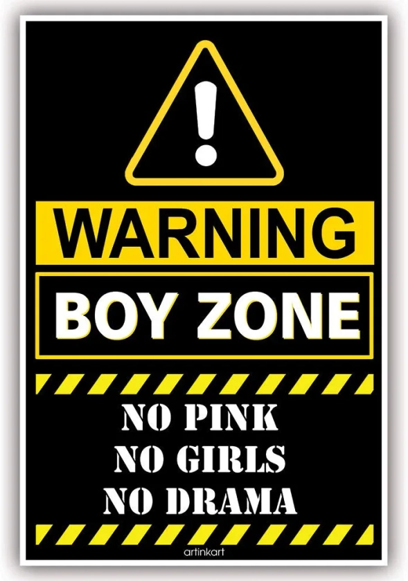 ArtinKart Boys Zone Funny Quote Poster for Door Room (Paper, 12x18 inch, Multicolor, Unframed) : Amazon.in