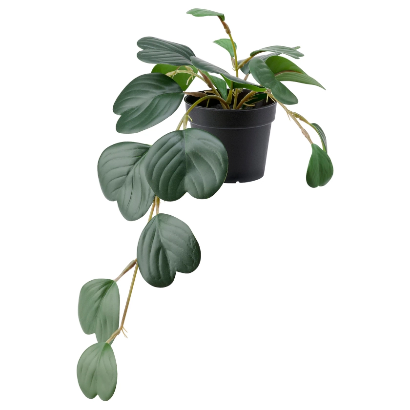 FEJKA artificial potted plant, indoor/outdoor hanging/Peperomia, 9 cm (3 ½") - IKEA CA