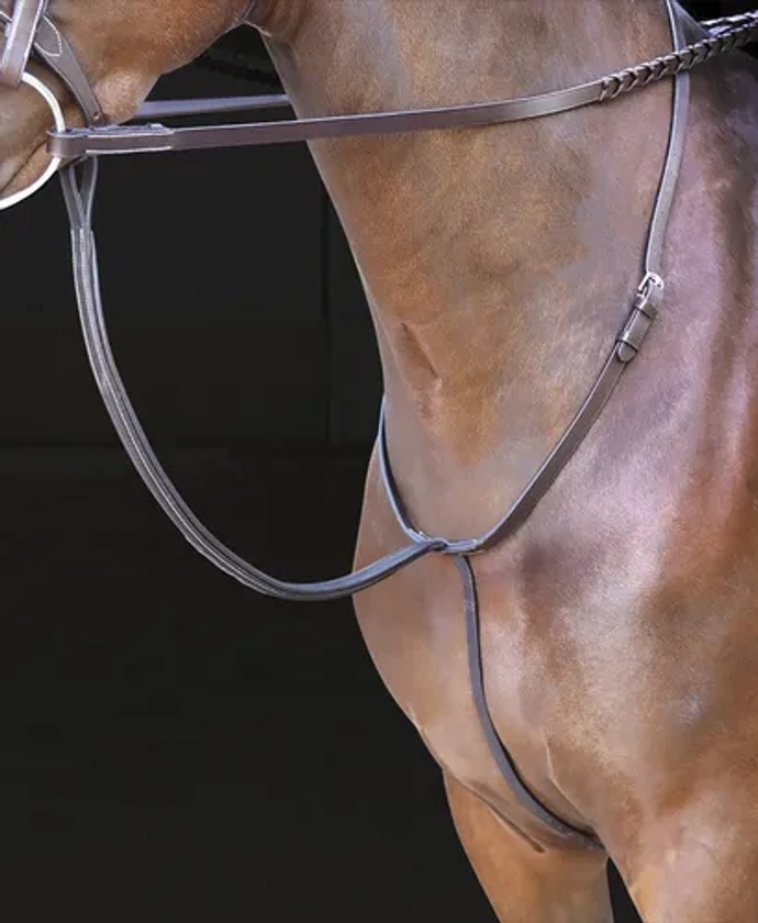 Shires Rossano Standing Martingale | Dover Saddlery