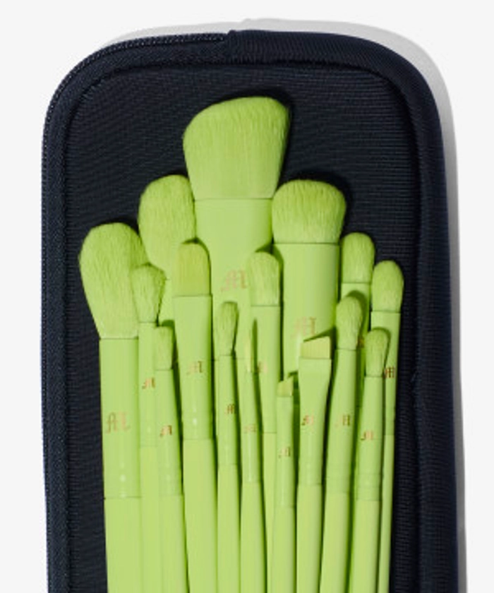 16 Piece Brush Set & Brush Pouch