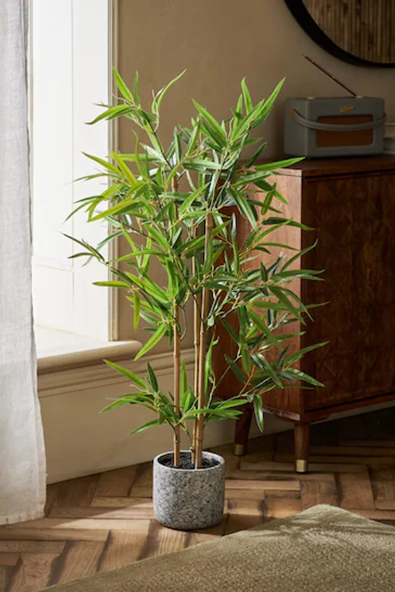 Buy Green Artificial Bamboo Tree Plant In Concrete Pot from the Next UK online shop