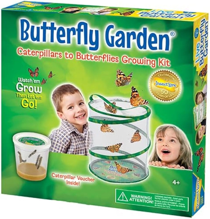 Insect Lore Butterfly Garden (Packaging May Vary) : Amazon.co.uk: Toys & Games