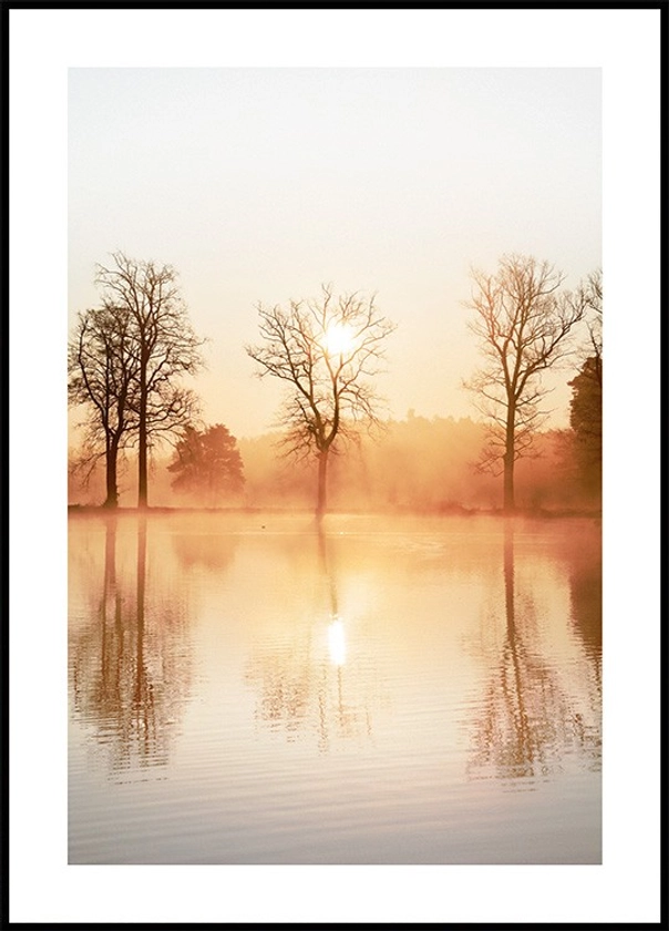 Réflexion Brumeuse Poster