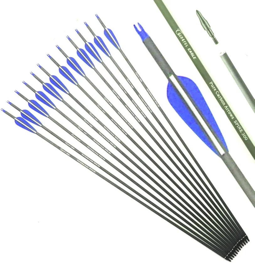 COLORFUL EAGLE 12Pcs Archery Spine 300 400 Pure Carbon Arrows 28'' 30" 31" Shaft for Compound Recurve Bow Longbow Hunting Shooting