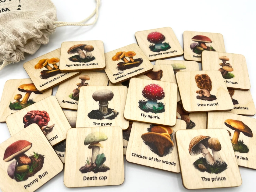 Wooden Mushroom Fungi Matching Cards, Montessori Learning Wild Mushroom Nature Study Game, Montessori Educational Toys for Toddler Kids