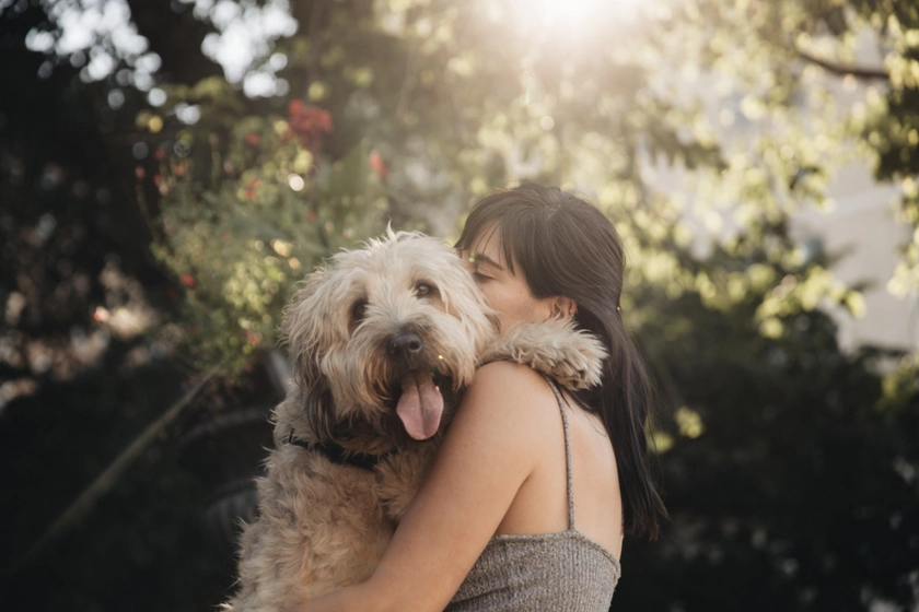 Sundays - Air-Dried Food for Dogs