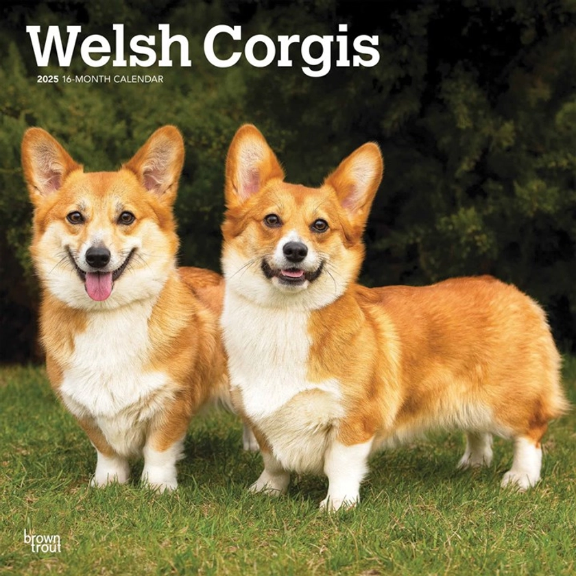 Welsh Corgis Calendar 2025