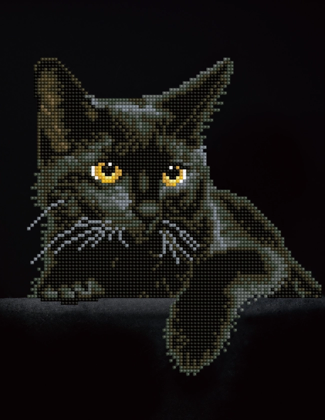 DIAMOND DOTZ® Black Cat Special Edition Diamond Painting Kit