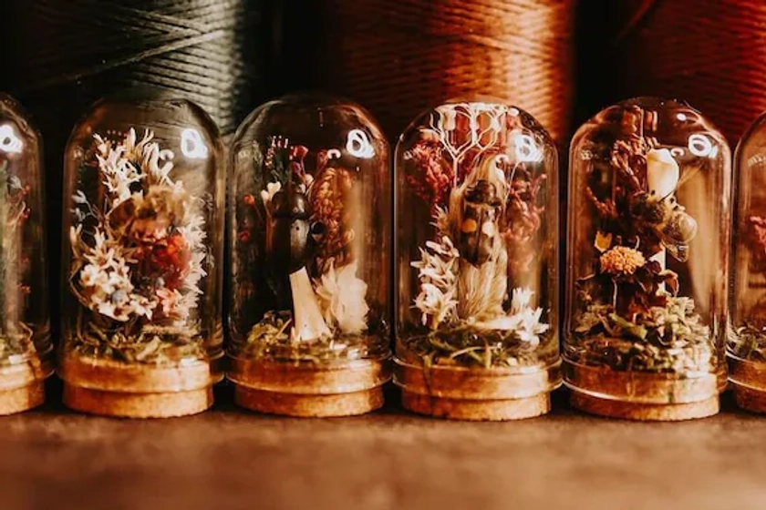 Miniature Specimen Diorama Terrarium