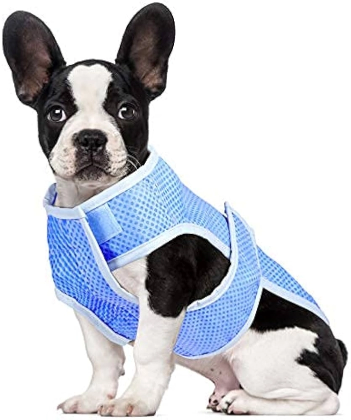 POPETPOP Dog Cooling Vest, Lightweight Cooler Jacket, Pet Vest Harness for for Small Medium Dogs(Size L)