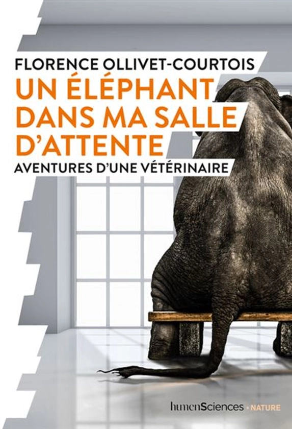 Un éléphant dans ma salle d'attente