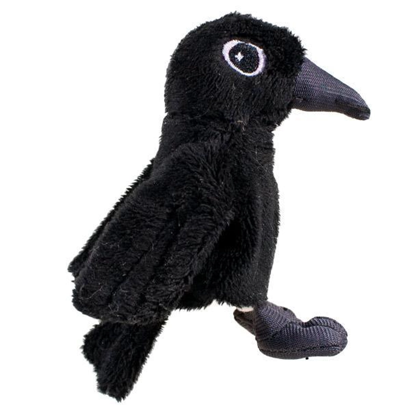 Poe's Raven Magnetic Personality