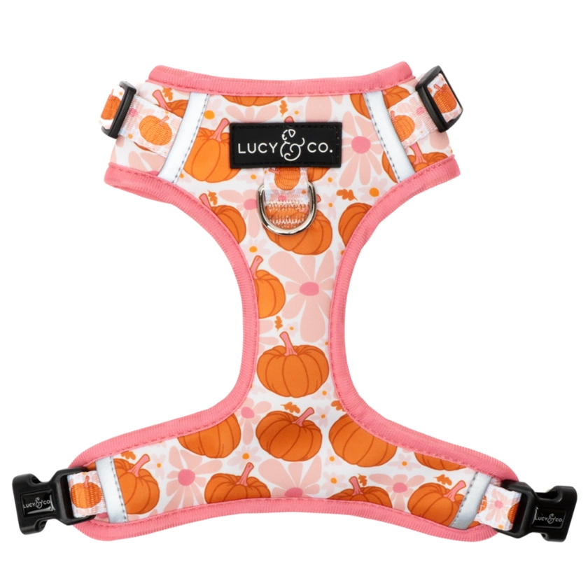 The Sugar & Pumpkin Spice Fall No-Pull Dog Harness | Lucy & Co.