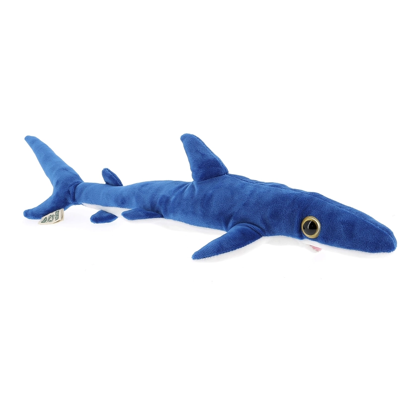 Requin peau bleue