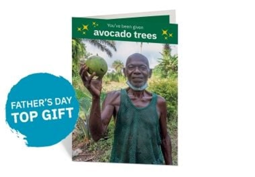 Avocado trees | Concern Gifts - Eight Avocado Trees