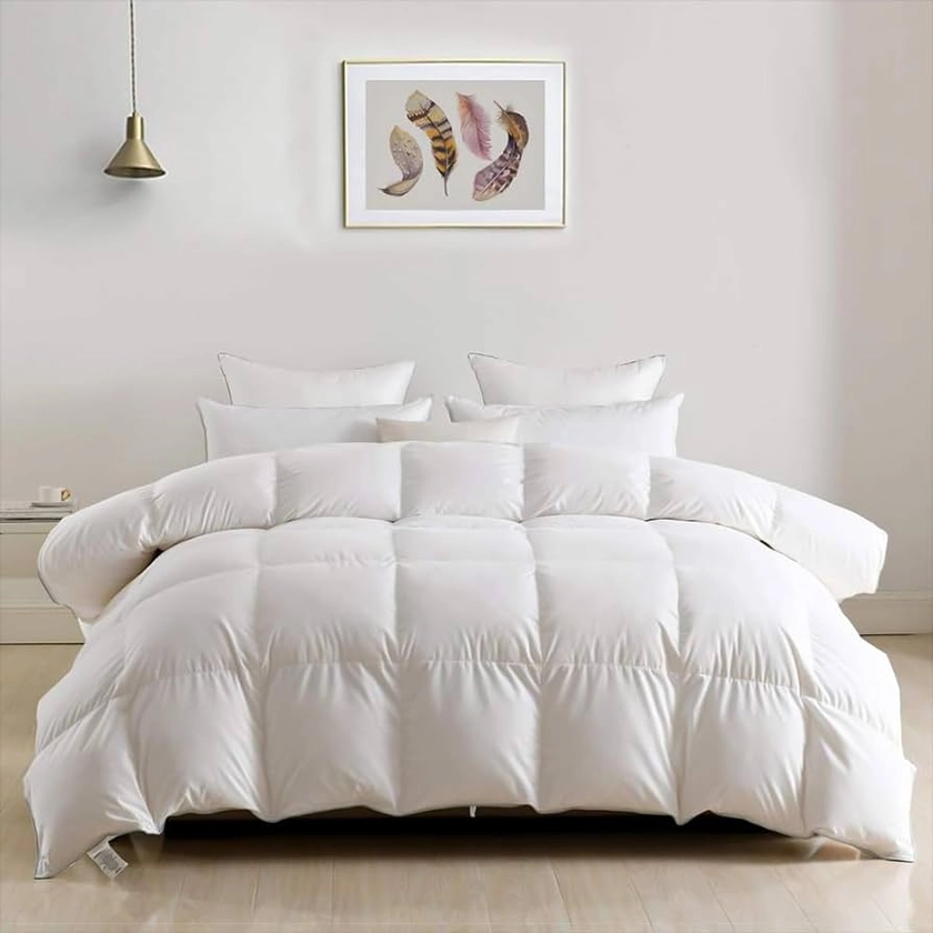 DWR Luxury Feathers Down Comforter Full/Queen, Hotel-Style Fluffy Duvet Insert, Ultra-Soft Egyptian Cotton Blend Fabric, 750 Fill Power 46oz Medium Weight for All Season(90x90, White)
