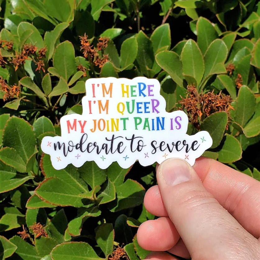 LGBTQ Stickers for Hydroflask, Chronic Illness Stickers for Laptop, Pride Stickers for Water Bottle, Queer Sticker, Pride Gifts for Women