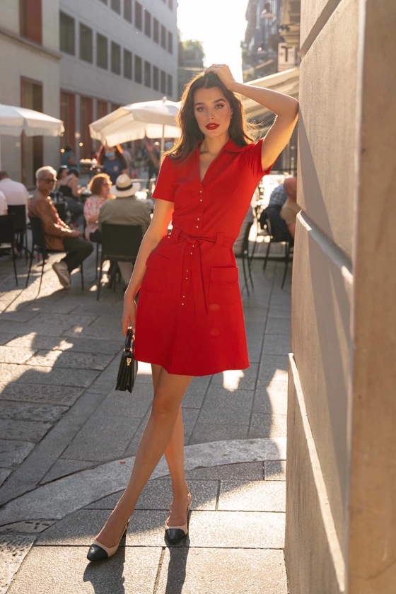 Vintage Inspired Paris Dress