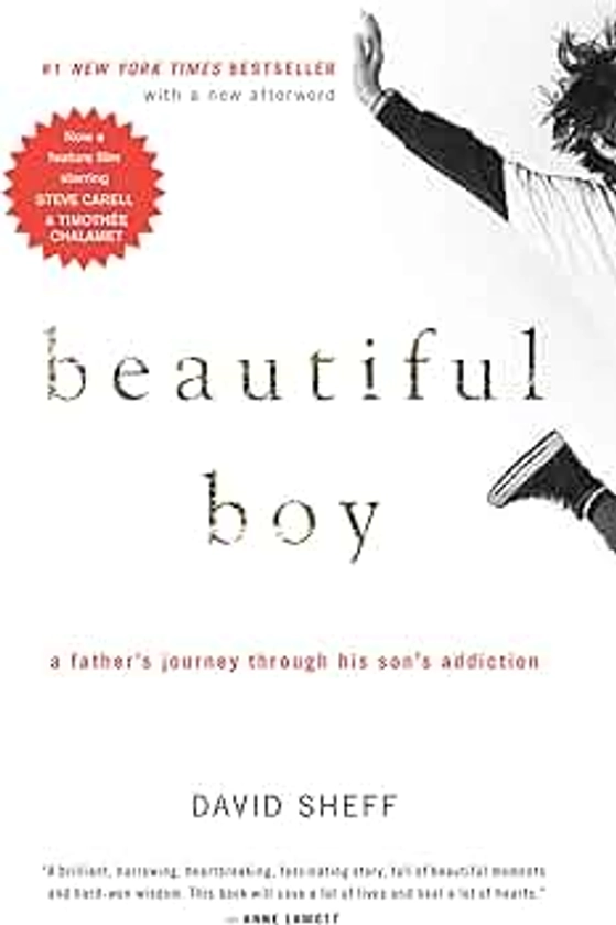 Beautiful Boy: A Father's Journey Through His Son's Addiction