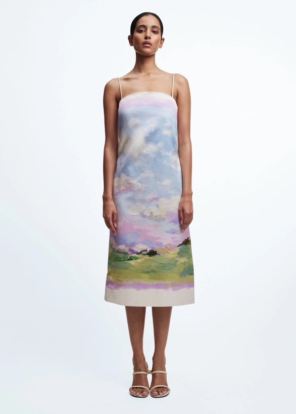 Printed Slip Midi Dress