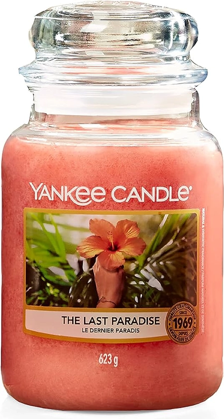 Yankee Candle Scented Candle | The Last Paradise Large Jar Candle | Burn Time: up to 150 Hours : Amazon.co.uk: Home & Kitchen