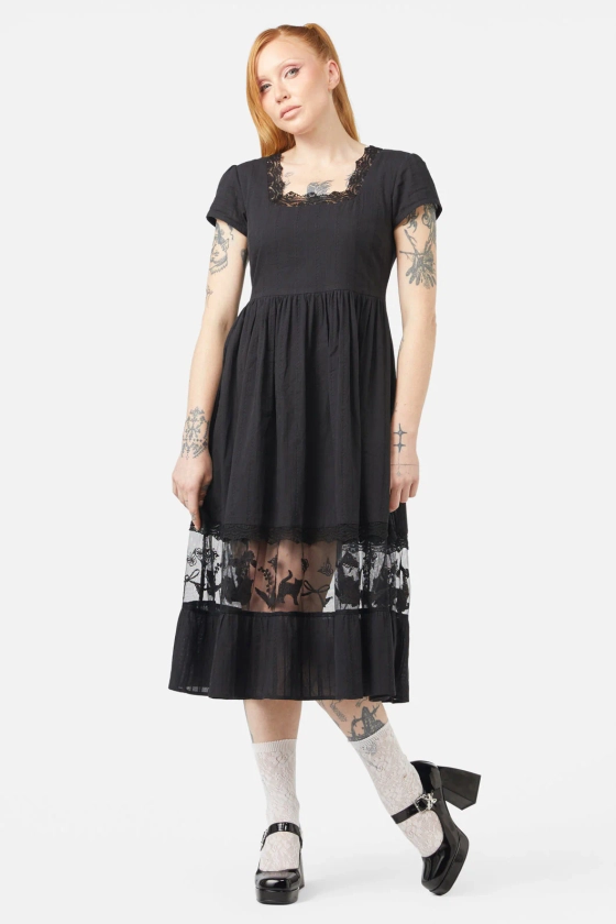 Catnip Lace Dress