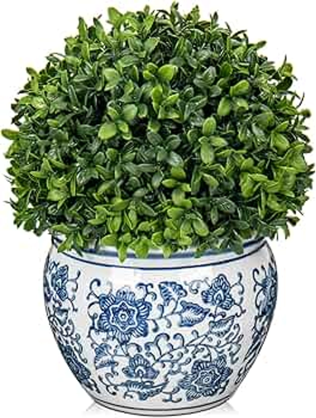 DILATATA Preserved Boxwood Ball in Blue and White Ceramic Pot, Boxwood in Planters Preserved Plant Topiary for Table Centerpiece Indoor Plant Home Decor