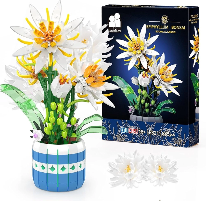 Under the Baubles Épiphyllum des éléments de construction de fleurs avec vase, ensemble de plantes artificielles, kit de modèle pour adultes, décoration domestique, cadeau de la Saint-Valentin -835pcs : Amazon.fr: Jeux et Jouets