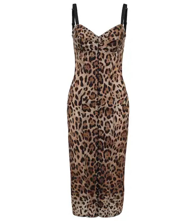 Leopard Print Midi Dress in Brown - Dolce Gabbana | Mytheresa