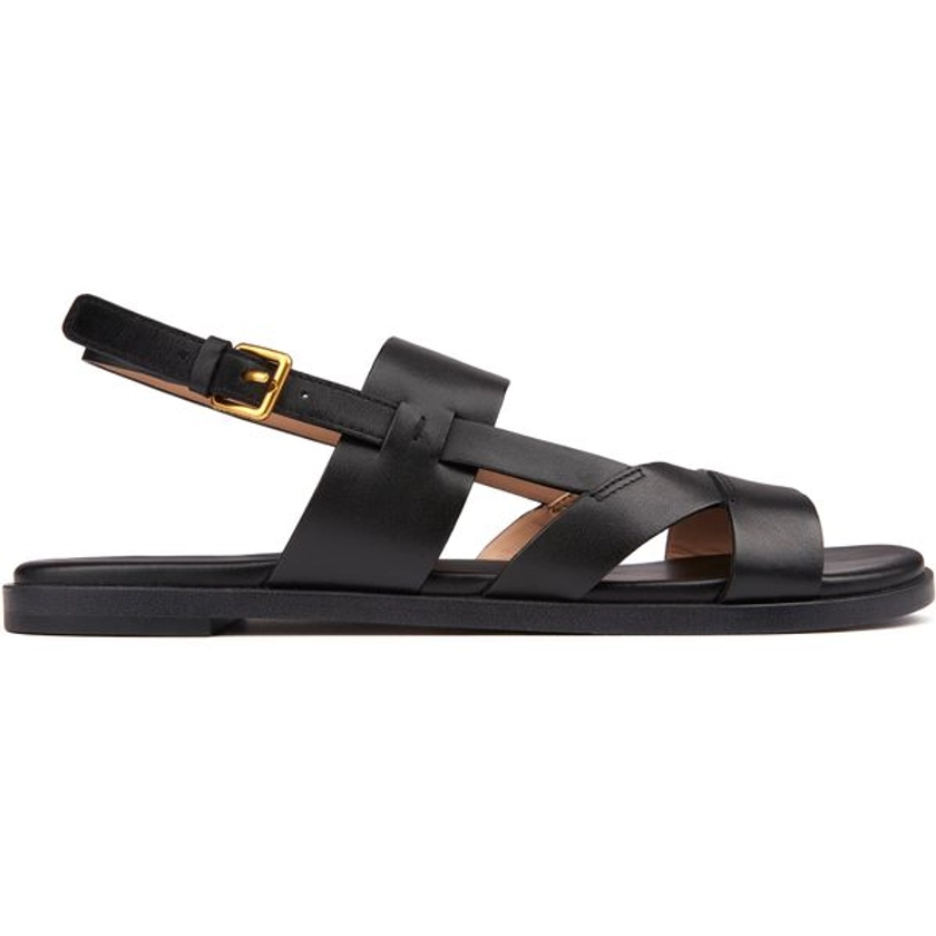 Womens Cole Haan Fawn Sandals In Black | Soletrader