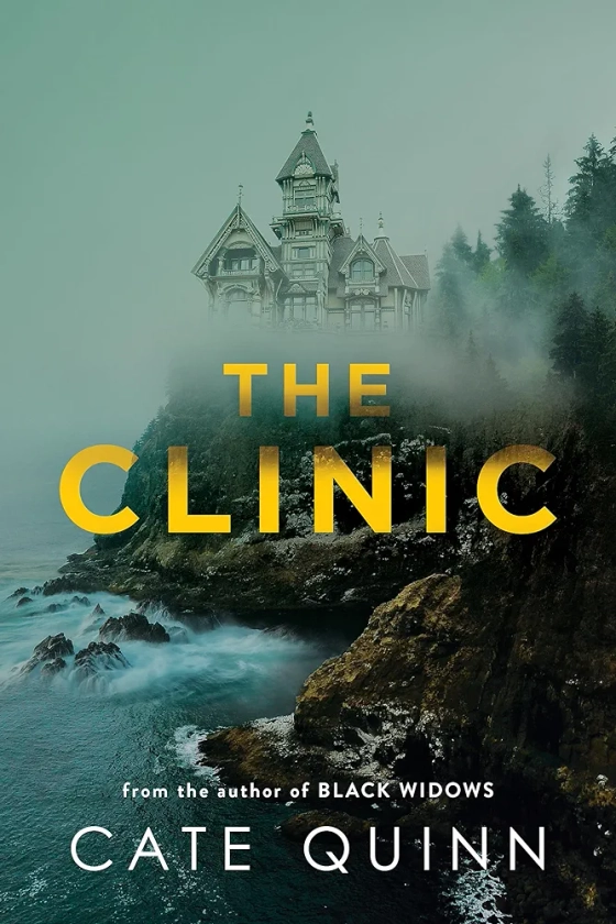 The Clinic: The compulsive new thriller from the critically acclaimed author of Black Widows