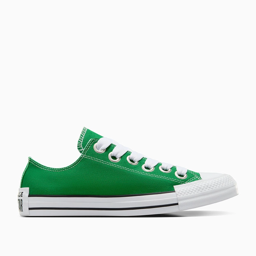 Chuck Taylor All Star Sketch in Green/White/Black