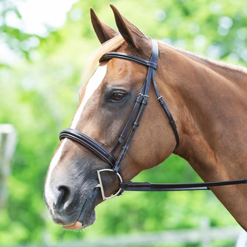 Plymouth® Wide Noseband Hunter Bridle by SmartPak
