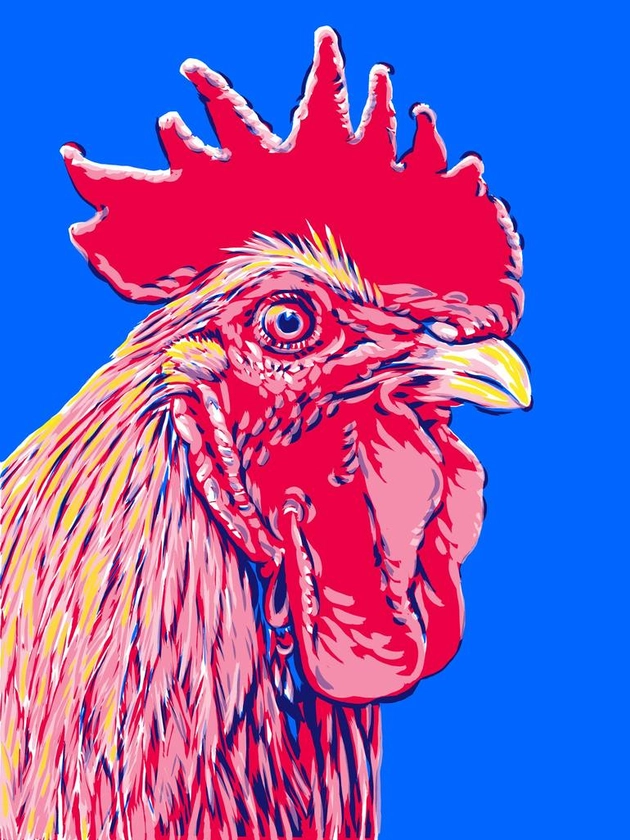 Rooster pop art cute minimalism red blue animal painting Artwork