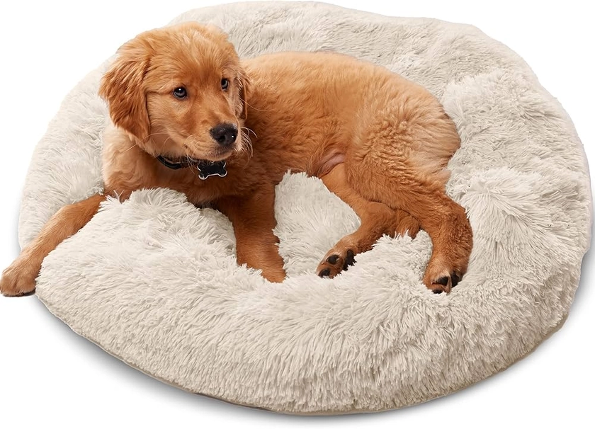 Amazon.com : Premium Dog Beds for Large Dogs and Medium Dogs - Portable Dog Beds & Furniture - Dog Travel - Fits up to 25 lbs, (Small, Beige) : Pet Supplies