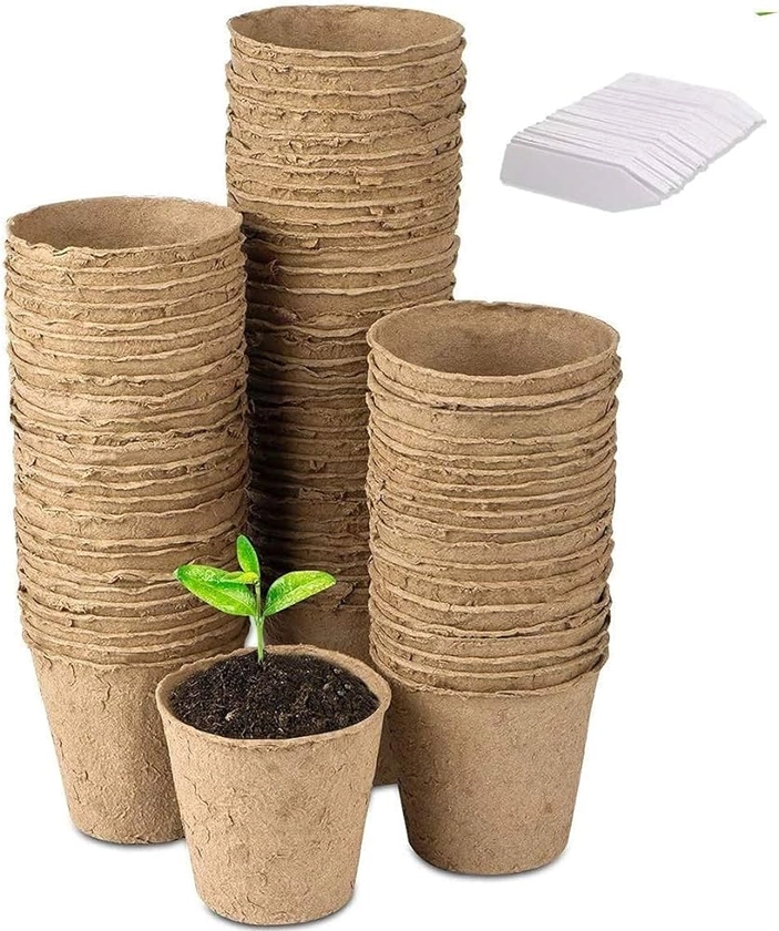 LATERN 100Pcs 8cm Biodegradable Fibre Seed Pots for Seedling and Transplanting with 100Pcs Plastic Plant labels (White 5x1cm) : Amazon.co.uk: Garden