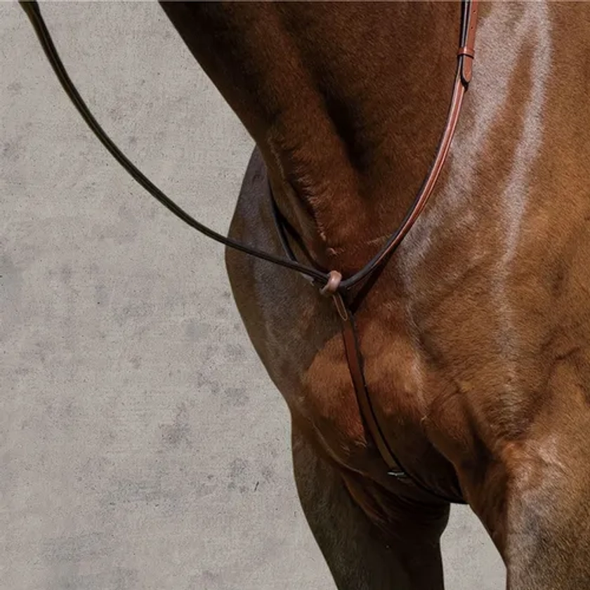 Suffolk™ Raised Standing Martingale | Dover Saddlery