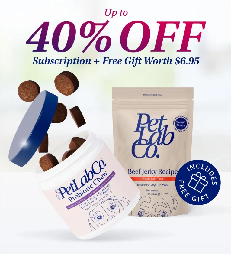Probiotic Chews for Dogs | Support Gut Health | PetLab Co.
