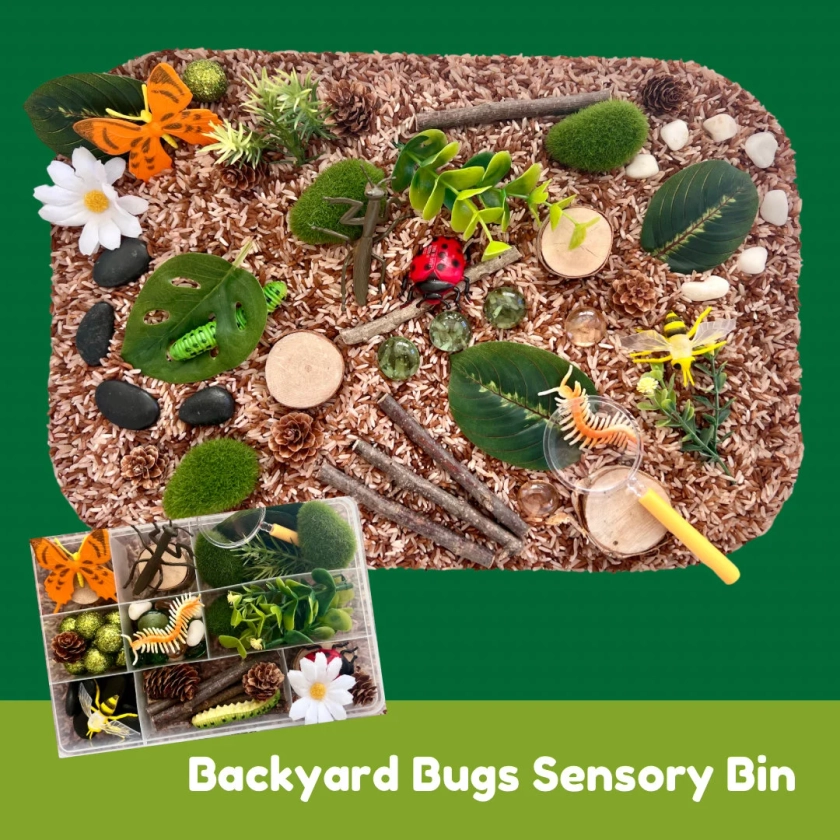 Backyard Bugs Sensory Bin - Etsy